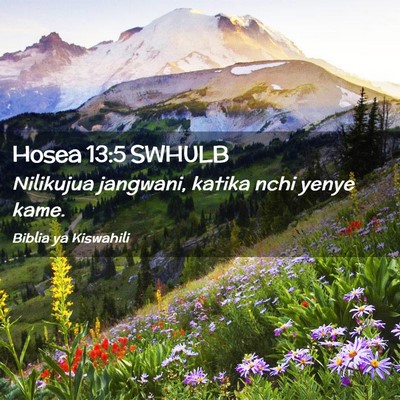 Picture 02 - Hosea 13:5 SWHULB - Nilikujua jangwani, katika nchi yenye - Bible Verse Picture