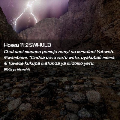 Picture 02 - Hosea 14:2 SWHULB - Chukueni maneno pamoja nanyi na mrudieni Yahweh. - Bible Verse Picture