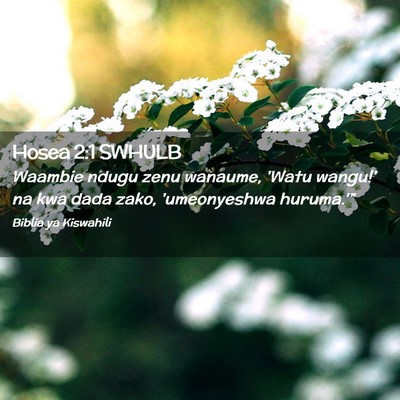 Picture 02 - Hosea 2:1 SWHULB - Waambie ndugu zenu wanaume, 'Watu wangu!' na kwa - Bible Verse Picture