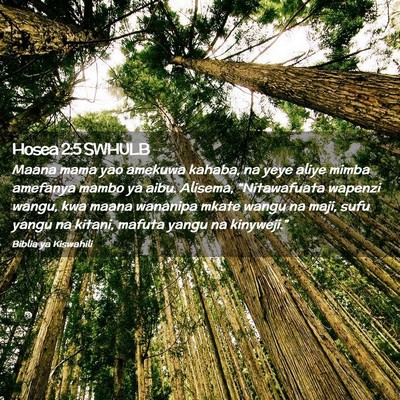 Picture 02 - Hosea 2:5 SWHULB - Maana mama yao amekuwa kahaba, na yeye aliye - Bible Verse Picture