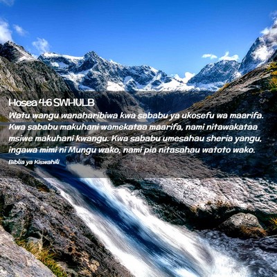 Picture 02 - Hosea 4:6 SWHULB - Watu wangu wanaharibiwa kwa sababu ya ukosefu wa - Bible Verse Picture