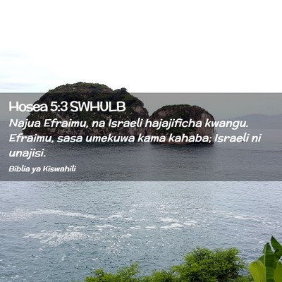 Picture 02 - Hosea 5:3 SWHULB - Najua Efraimu, na Israeli hajajificha kwangu. - Bible Verse Picture