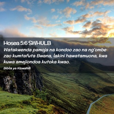 Picture 02 - Hosea 5:6 SWHULB - Watakwenda pamoja na kondoo zao na ng'ombe zao - Bible Verse Picture