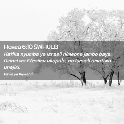Picture 02 - Hosea 6:10 SWHULB - Katika nyumba ya Israeli nimeona jambo baya; - Bible Verse Picture