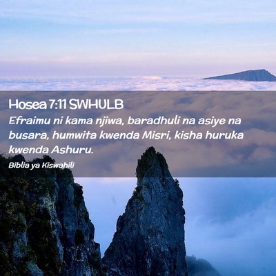 Picture 02 - Hosea 7:11 SWHULB - Efraimu ni kama njiwa, baradhuli na asiye na - Bible Verse Picture