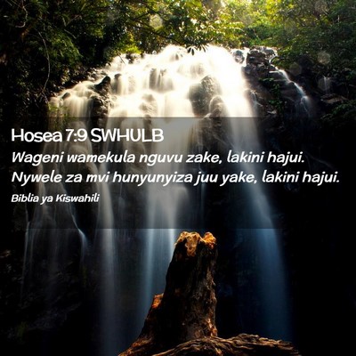 Picture 02 - Hosea 7:9 SWHULB - Wageni wamekula nguvu zake, lakini hajui. Nywele - Bible Verse Picture