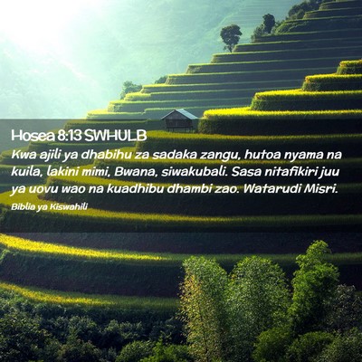 Picture 02 - Hosea 8:13 SWHULB - Kwa ajili ya dhabihu za sadaka zangu, hutoa nyama - Bible Verse Picture