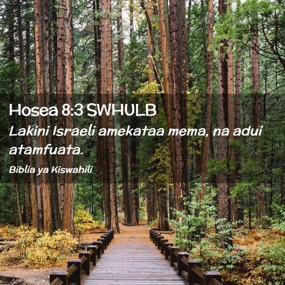 Picture 02 - Hosea 8:3 SWHULB - Lakini Israeli amekataa mema, na adui - Bible Verse Picture