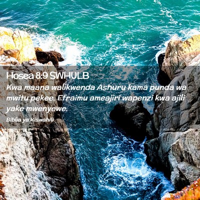 Picture 02 - Hosea 8:9 SWHULB - Kwa maana walikwenda Ashuru kama punda wa mwitu - Bible Verse Picture