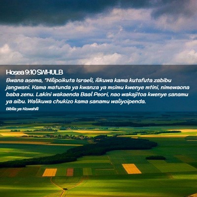 Picture 02 - Hosea 9:10 SWHULB - Bwana asema, “Nilipoikuta Israeli, ilikuwa kama - Bible Verse Picture