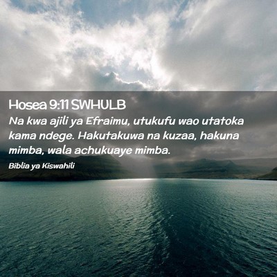 Picture 02 - Hosea 9:11 SWHULB - Na kwa ajili ya Efraimu, utukufu wao utatoka kama - Bible Verse Picture