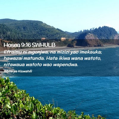 Picture 02 - Hosea 9:16 SWHULB - Efraimu ni mgonjwa, na mizizi yao imekauka; - Bible Verse Picture