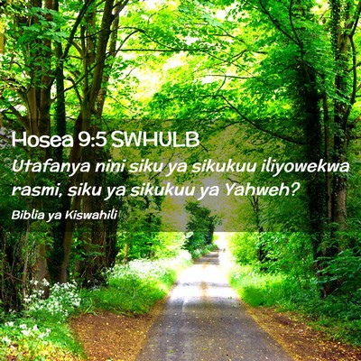 Picture 02 - Hosea 9:5 SWHULB - Utafanya nini siku ya sikukuu iliyowekwa rasmi, - Bible Verse Picture