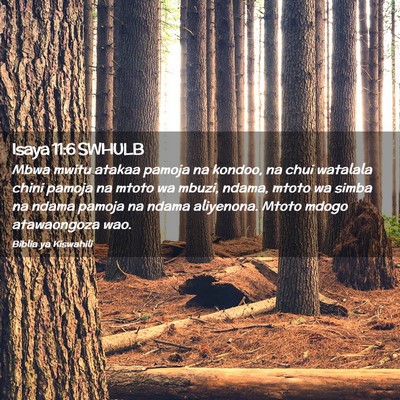 Picture 02 - Isaya 11:6 SWHULB - Mbwa mwitu atakaa pamoja na kondoo, na chui - Bible Verse Picture