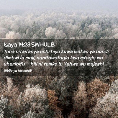 Picture 02 - Isaya 14:23 SWHULB - Tena nitaifanya nchi hiyo kuwa makao ya bundi, - Bible Verse Picture