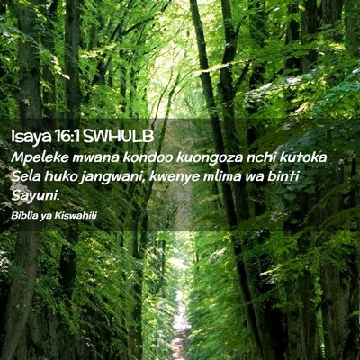 Picture 02 - Isaya 16:1 SWHULB - Mpeleke mwana kondoo kuongoza nchi kutoka Sela - Bible Verse Picture