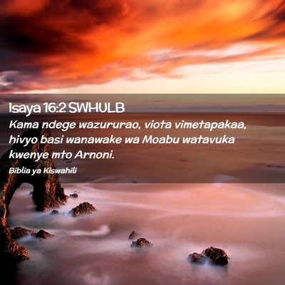 Picture 02 - Isaya 16:2 SWHULB - Kama ndege wazururao, viota vimetapakaa, hivyo - Bible Verse Picture