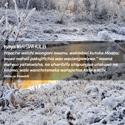 Picture 02 - Isaya 16:4 SWHULB - Waache waishi miongoni mwenu, wakimbizi kutoka - Bible Verse Picture