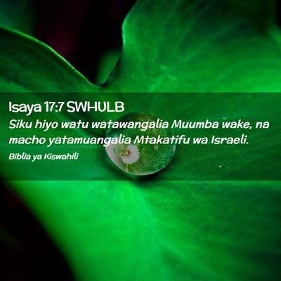 Picture 02 - Isaya 17:7 SWHULB - Siku hiyo watu watawangalia Muumba wake, na macho - Bible Verse Picture