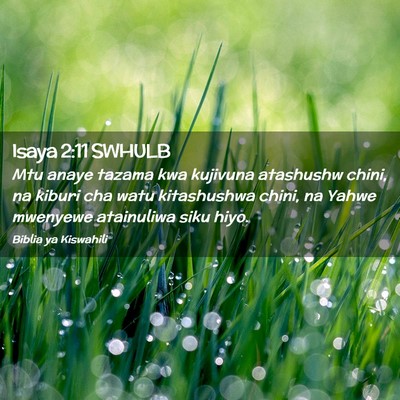 Picture 02 - Isaya 2:11 SWHULB - Mtu anaye tazama kwa kujivuna atashushw chini, na - Bible Verse Picture