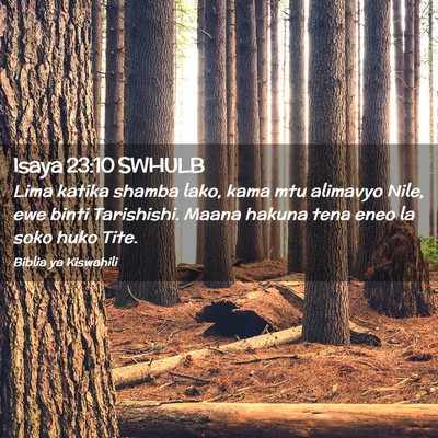 Picture 02 - Isaya 23:10 SWHULB - Lima katika shamba lako, kama mtu alimavyo Nile, - Bible Verse Picture