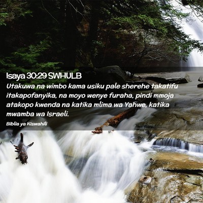 Picture 02 - Isaya 30:29 SWHULB - Utakuwa na wimbo kama usiku pale sherehe takatifu - Bible Verse Picture