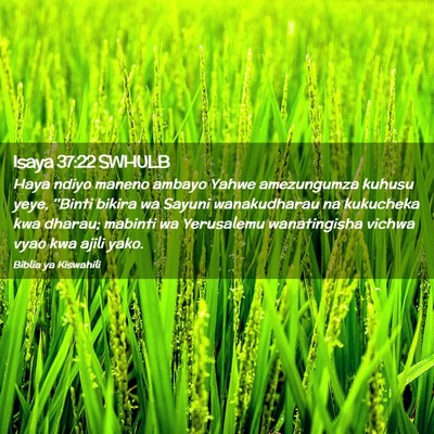 Picture 02 - Isaya 37:22 SWHULB - Haya ndiyo maneno ambayo Yahwe amezungumza kuhusu - Bible Verse Picture