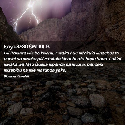 Picture 02 - Isaya 37:30 SWHULB - Hii itakuwa wimbo kwenu: mwaka huu mtakula - Bible Verse Picture