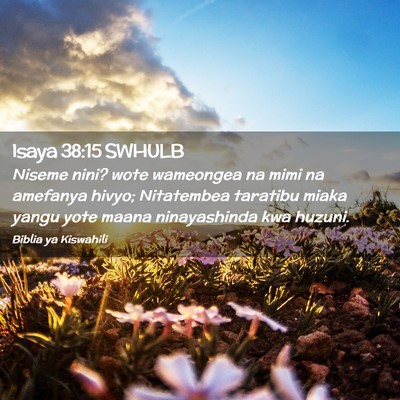Picture 02 - Isaya 38:15 SWHULB - Niseme nini? wote wameongea na mimi na amefanya - Bible Verse Picture