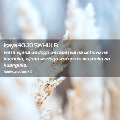 Picture 02 - Isaya 40:30 SWHULB - Hata vijana wadogo watapatwa na uchovu na - Bible Verse Picture