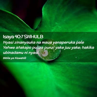 Picture 02 - Isaya 40:7 SWHULB - Nyasi zinanyauka na maua yanaperuka pale Yehwe - Bible Verse Picture