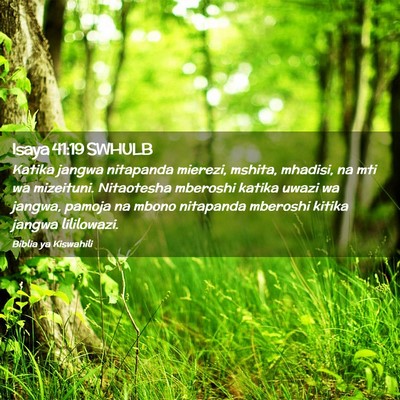 Picture 02 - Isaya 41:19 SWHULB - Katika jangwa nitapanda mierezi, mshita, mhadisi, - Bible Verse Picture
