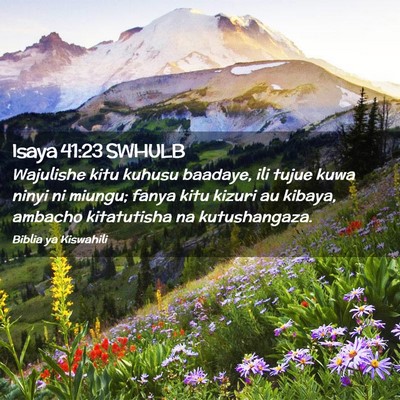 Picture 02 - Isaya 41:23 SWHULB - Wajulishe kitu kuhusu baadaye, ili tujue kuwa - Bible Verse Picture