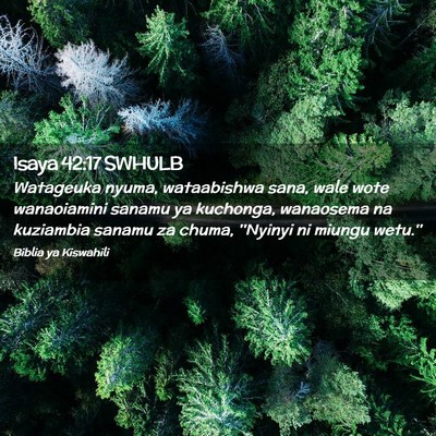 Picture 02 - Isaya 42:17 SWHULB - Watageuka nyuma, wataabishwa sana, wale wote - Bible Verse Picture
