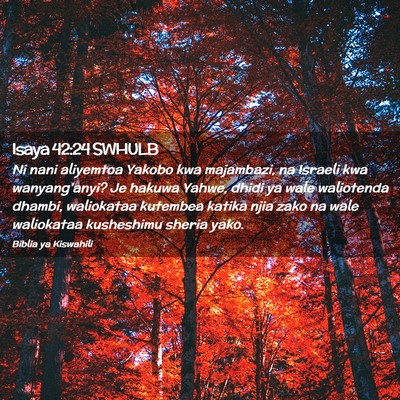 Picture 02 - Isaya 42:24 SWHULB - Ni nani aliyemtoa Yakobo kwa majambazi, na - Bible Verse Picture