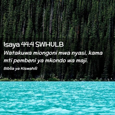Picture 02 - Isaya 44:4 SWHULB - Watakuwa miongoni mwa nyasi, kama mti pembeni ya - Bible Verse Picture