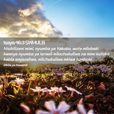 Picture 02 - Isaya 46:3 SWHULB - Nisikilizeni mimi, nyumba ya Yakobo, wote - Bible Verse Picture