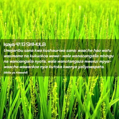 Picture 02 - Isaya 47:13 SWHULB - Umejaribu sana kwa kushauriwa sana; waache hao - Bible Verse Picture