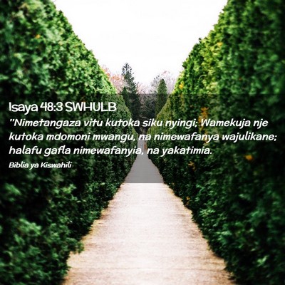 Picture 02 - Isaya 48:3 SWHULB - ''Nimetangaza vitu kutoka siku nyingi; Wamekuja - Bible Verse Picture