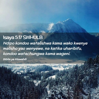 Picture 02 - Isaya 5:17 SWHULB - Ndipo kondoo watalishwa kama wako kwenye malisho - Bible Verse Picture
