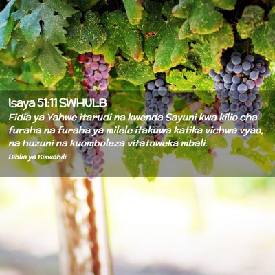 Picture 02 - Isaya 51:11 SWHULB - Fidia ya Yahwe itarudi na kwenda Sayuni kwa kilio - Bible Verse Picture