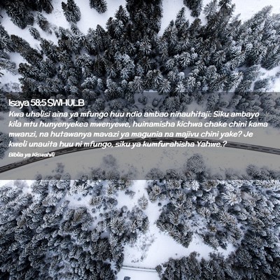 Picture 02 - Isaya 58:5 SWHULB - Kwa uhalisi aina ya mfungo huu ndio ambao - Bible Verse Picture