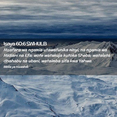 Picture 02 - Isaya 60:6 SWHULB - Msafara wa ngamia utawafunika ninyi, na ngamia wa - Bible Verse Picture