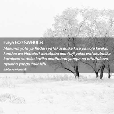 Picture 02 - Isaya 60:7 SWHULB - Makundi yote ya Kedari yatakusanika kwa pamoja - Bible Verse Picture