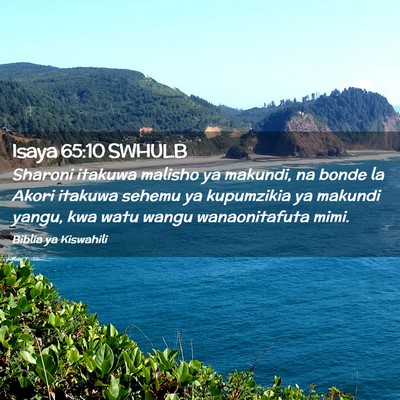 Picture 02 - Isaya 65:10 SWHULB - Sharoni itakuwa malisho ya makundi, na bonde la - Bible Verse Picture