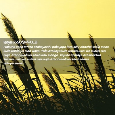 Picture 02 - Isaya 65:20 SWHULB - Hakuna tena mtoto atakayeishi pale japo kwa siku - Bible Verse Picture