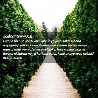 Picture 02 - Joeli 2:11 SWHULB - Bwana huinua sauti yake mbele ya jeshi lake; - Bible Verse Picture