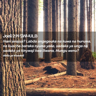 Picture 02 - Joeli 2:14 SWHULB - Nani anajua? Labda angegeuka na kuwa na huruma, - Bible Verse Picture