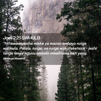 Picture 02 - Joeli 2:25 SWHULB - “Nitawawezesha miaka ya mazao ambayo nzige - Bible Verse Picture