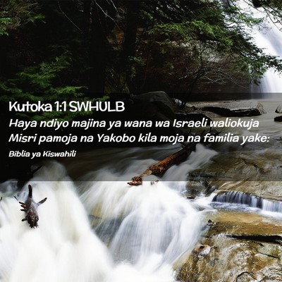 Picture 02 - Kutoka 1:1 SWHULB - Haya ndiyo majina ya wana wa Israeli waliokuja - Bible Verse Picture